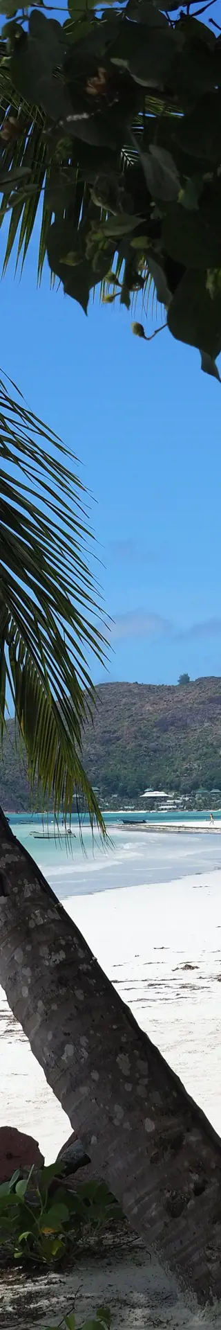 Willkommen im Paradies